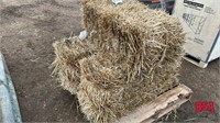OFFSITE: 50 Square Wheat Straw Bales
