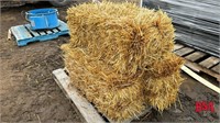 OFFSITE: 50 Square Oat Straw Bales