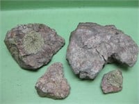Assorted Quartz Rock Specimens - 3094 Grams