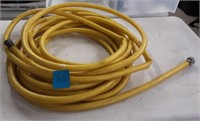 Long yellow garden hose