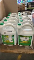 1 LOT 10-SIMPLE GREEN ALL-PURPOSE CLEANER 4.14L.