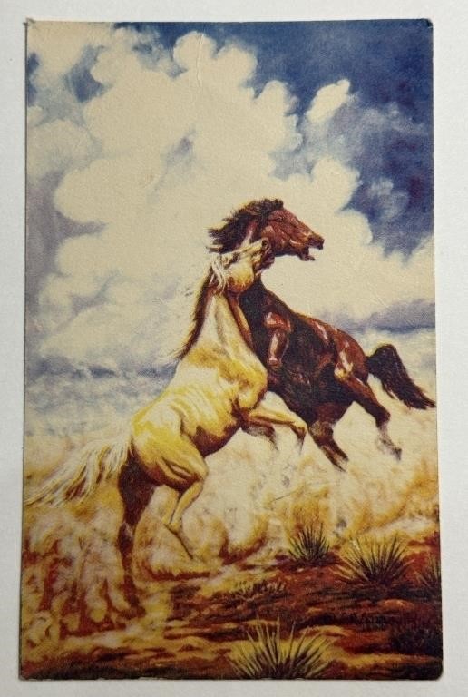 1946 Vintage PPC Postcard Desert Conquest!