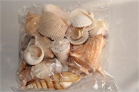 A Bag of Seashells