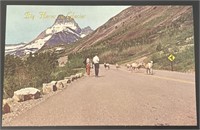 Vintage Glacier National Park Postcard RPPC