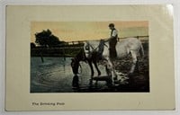 1909 Antique RPPC Postcard The Drinking Pool!