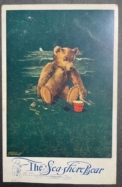 Antique Stamped 1906 The Sea-Shore Bear PPC