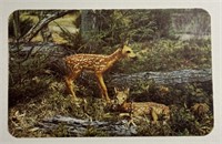 Vintage RPPC Postcard Baby Fawns!