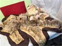 COYOTE SKIN RUG & EXTRA PCS FOR REPAIR