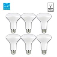 6-65W LED DIMMABLE BULBS