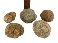 Geode Mineral Rocks includes (5) rocks. Please