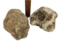 Geode Mineral Rocks includes (2) large rocks.