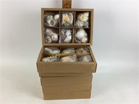 Boxes of shells x 6 new in packages