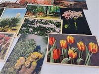 Antique & Vintage Postcards