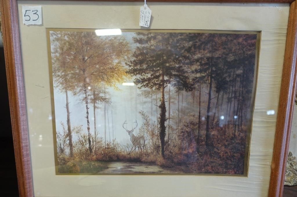 Picture of Deer in the Forest