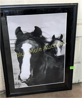 Black & White horse picture-30x24