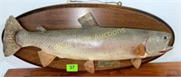1960 Snake River Fish Trout mount-22"long