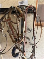 Headstall & bit, hackamores, cribbing control