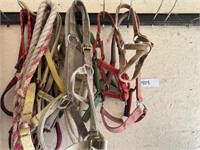 Lot of Full Horse Halters and two yearling halters