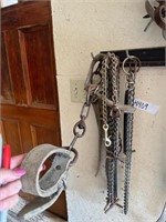 Hobbles and Misc Chains for halters etc