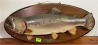 1960 Trout Fish Mount Snake River-25"long