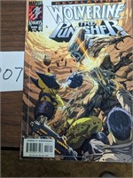 Wolverine & The Punisher Comic Book