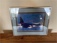 Framed Killer Whales 8.5x10 (Madison)