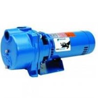 Goulds GT10 Centrifugal Pump  1 HP  53 GPM