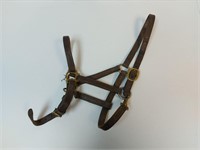Leather Halter - Yearling or Pony?