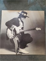 Stevie Ray Vaughn Poster