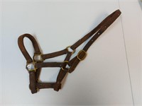 Leather Halter - Yearling or Pony?