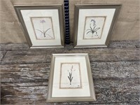 3 framed floral prints