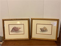 Seashell prints by D. Morgan 8” X 10”