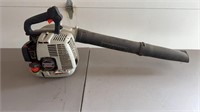 Echo Leaf Blower