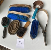 Horse Brush and Grooming Lot