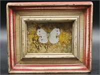 Butterfly Picture in Vintage Wooden Frame