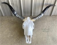 (FJ) Long Horn Steer Skull