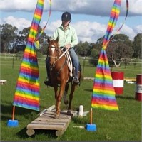 (VIC) BELLAVIEW RUBY - RIDING PONY MARE
