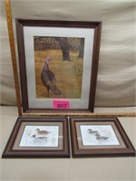 Ducks and Turkey Framed Prints