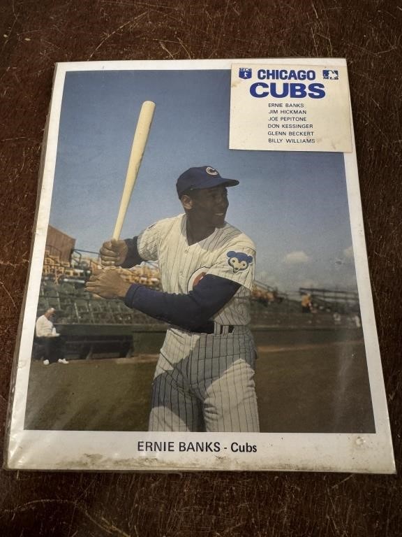 Vintage Chicago Cubs Memorabilia