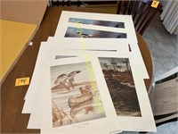 9 Ducks Unlimited Prints