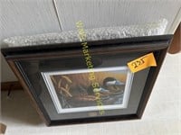 5 Ducks Unlimited Pictures & Frames