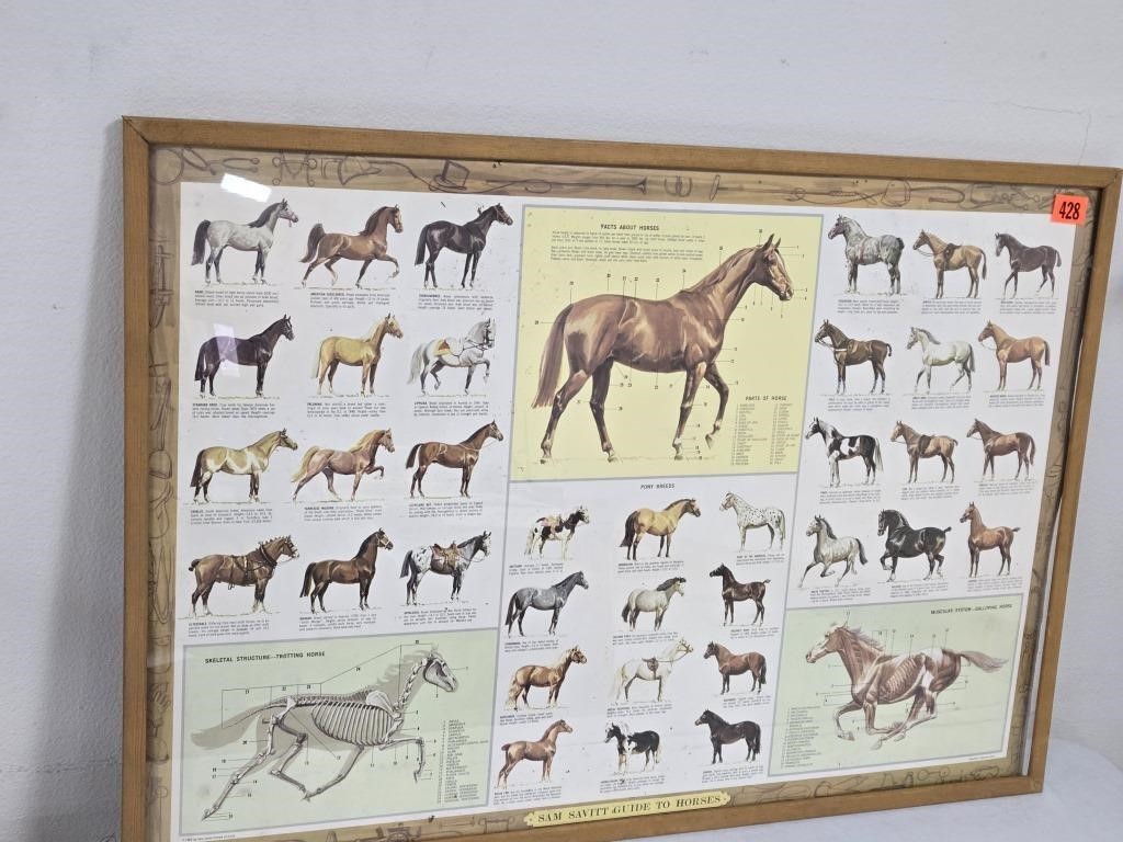 Facts About Horses Framed Poster