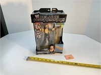 World Wrestling Deluxe Aggression Under Taker