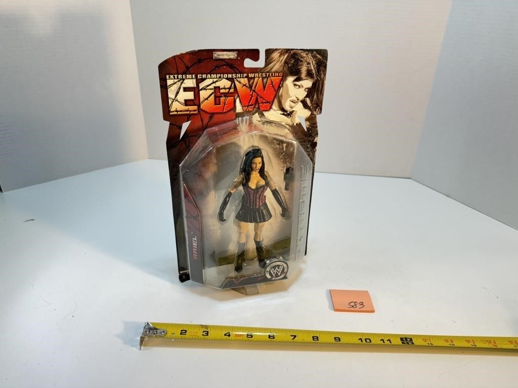 ECW Ariel Figure