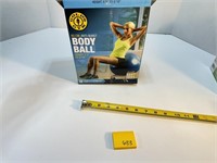 Gold's Gym Body Exercising Ball