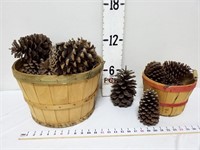 (2) Garden Baskets w/Sugar Cones