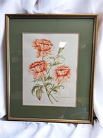 Carnations Watercolor - Mario Jacques Armitage