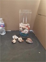 Glass Vase of Sea Shells Coral and 4 Larger shells