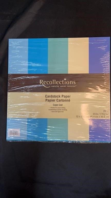Recollections Quality Cardstock Paper