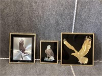 Eagle Framed Art Bundle of 3